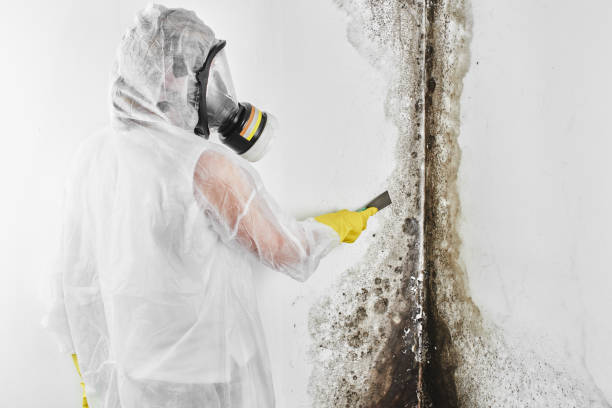 Best Certified Mold Removal  in Yacolt, WA