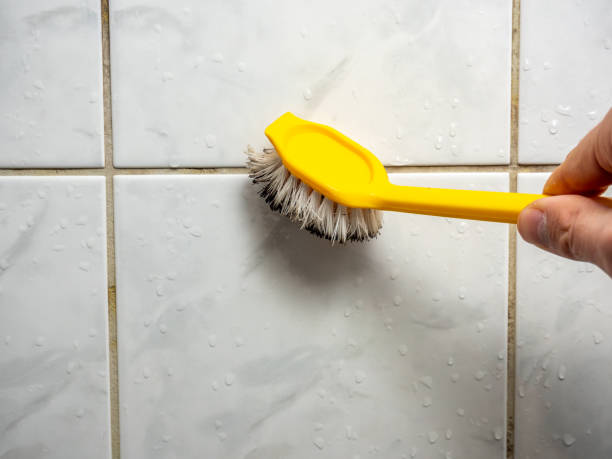 Best Mold Remediation Services  in Yacolt, WA