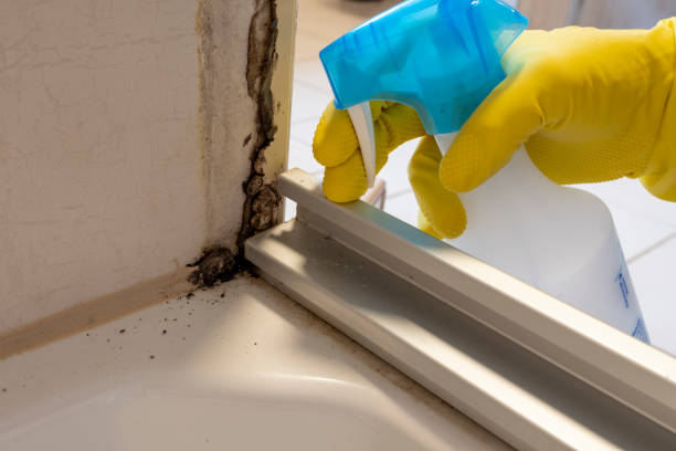 Best Professional Mold Removal  in Yacolt, WA