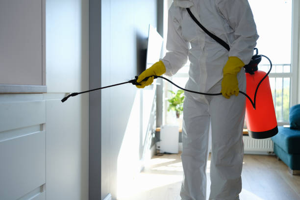 Best Black Mold Removal  in Yacolt, WA