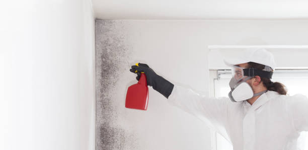 Best Mold Testing  in Yacolt, WA