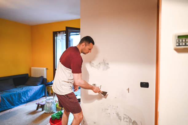 Best Office Mold Removal Services  in Yacolt, WA
