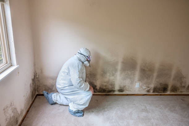 Best Residential Mold Removal  in Yacolt, WA